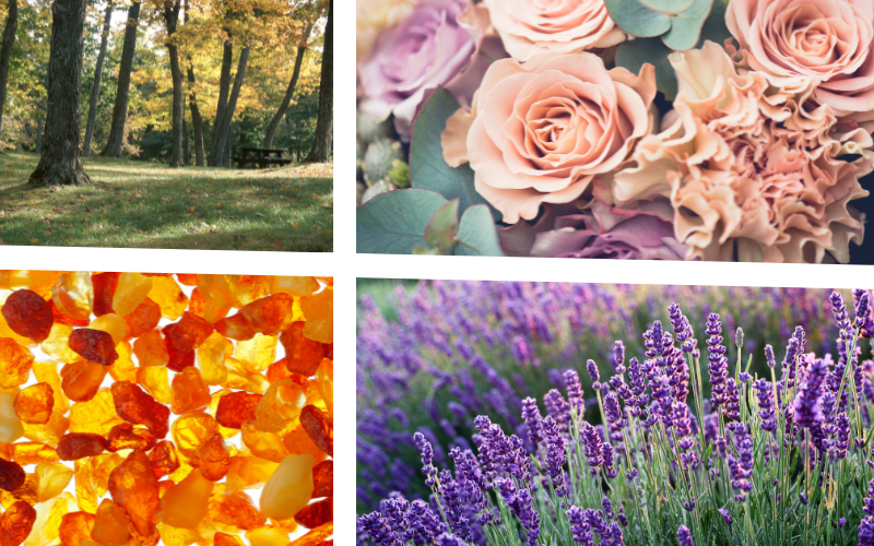 Demystifying Perfume Jargon: Understanding Fragrance Notes and Accords