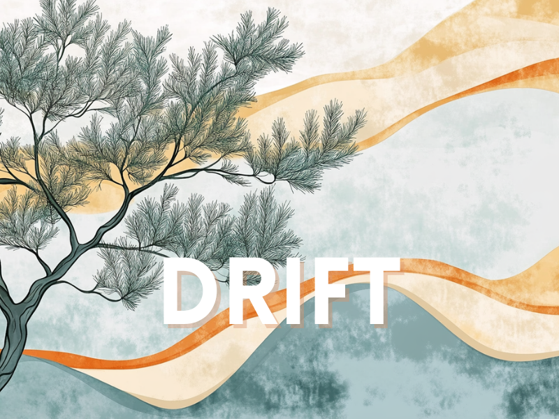 Meet Drift: A Fragrance Inspired by Forest Air 🌲✨