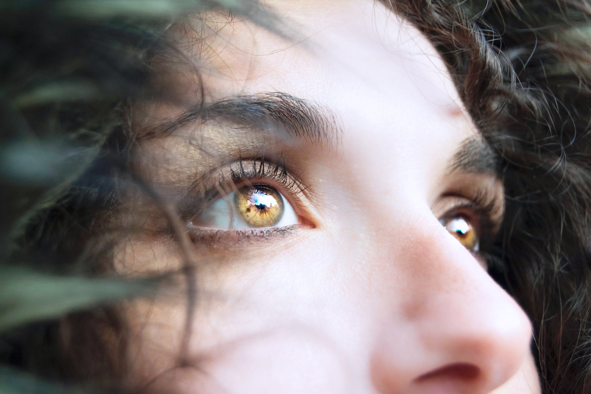 How Perfume Affects the Brain: Your Powerful Sense of Smell and Memory