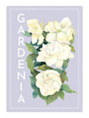 Gardenia Perfume Oil