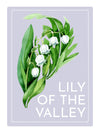 Lily of the Valley Perfume Oil